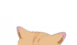 猫猫漫画图片,猫猫漫画里的奇幻冒险