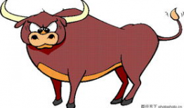 动漫画动物,漫绘中的动物传奇